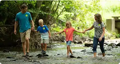 A family of four, two adults and two children, walk hand in hand across a shallow, rocky stream surrounded by green trees and foliage on a sunny day.